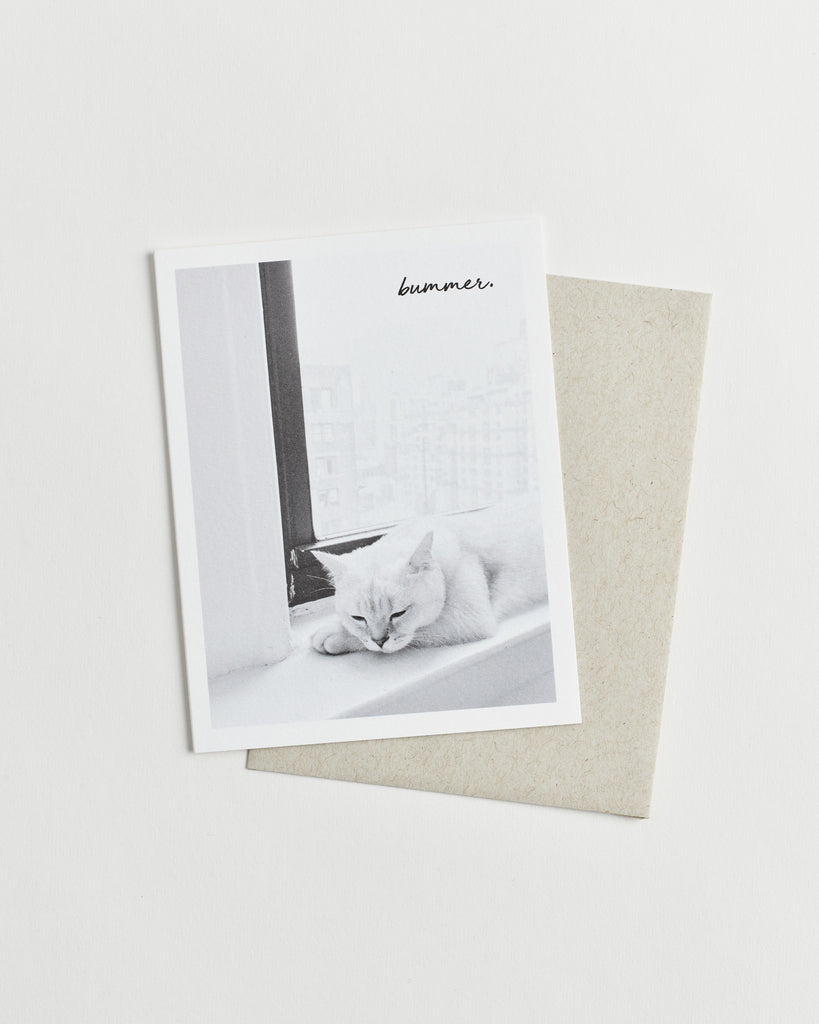 Greeting card with a black and white photo of a cat sleeping on a window sill and “bummer” in cursive.