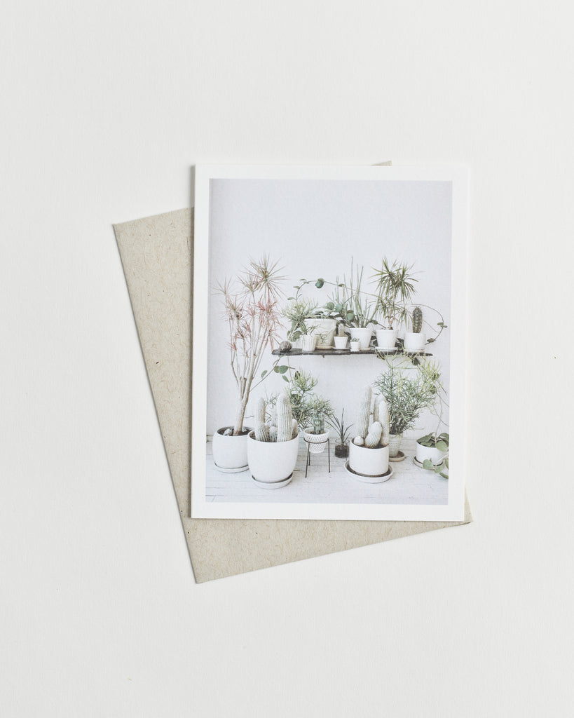 Photo greeting card of assorted potted plants and cacti against a white wall.