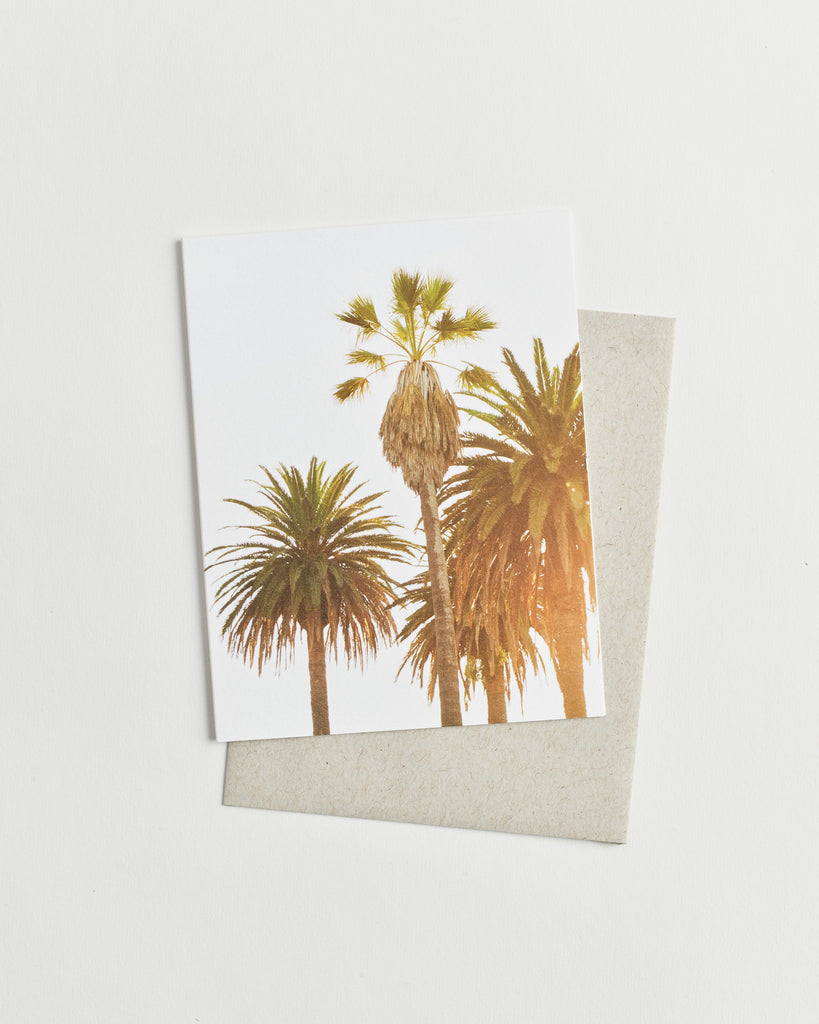 Photo greeting card of palm trees in bright sunshine.